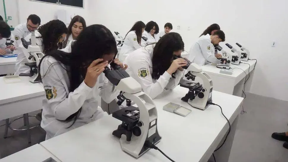 Alunos no microscópio